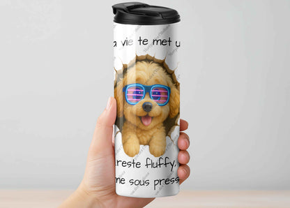 Quand la vie te met un mur - Belette