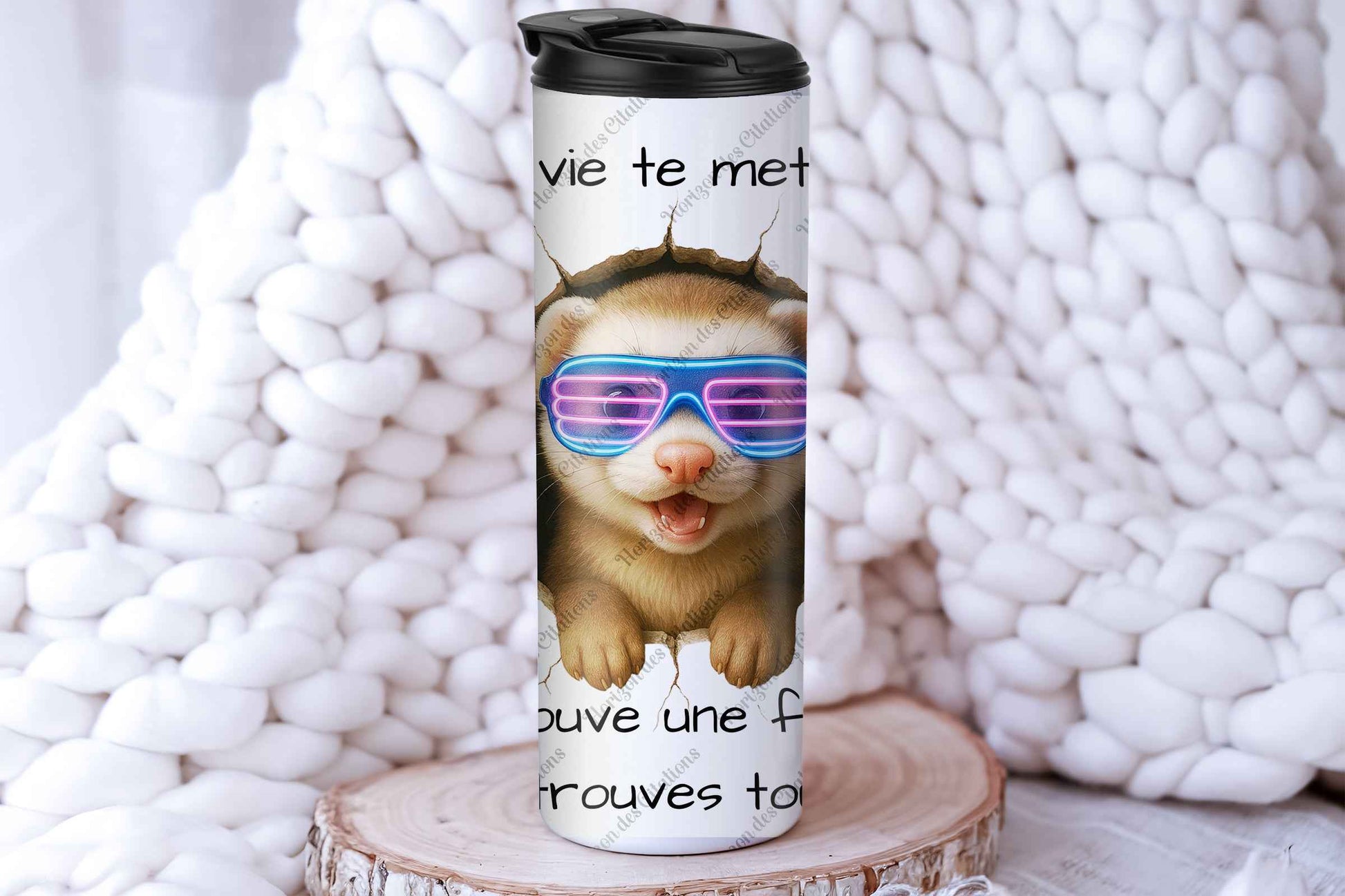 Quand la vie te met un mur - Belette