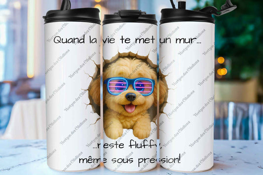 Quand la vie te met un mur - Shi-Poo