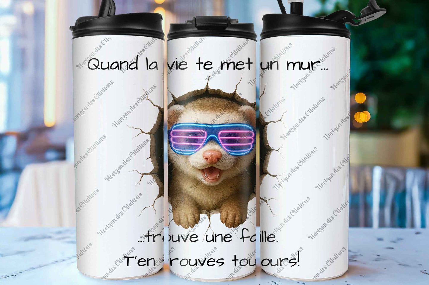 Quand la vie te met un mur - Belette